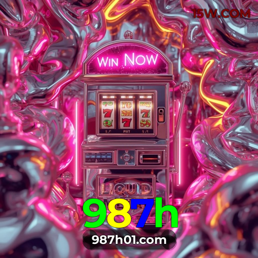 Performance 987h